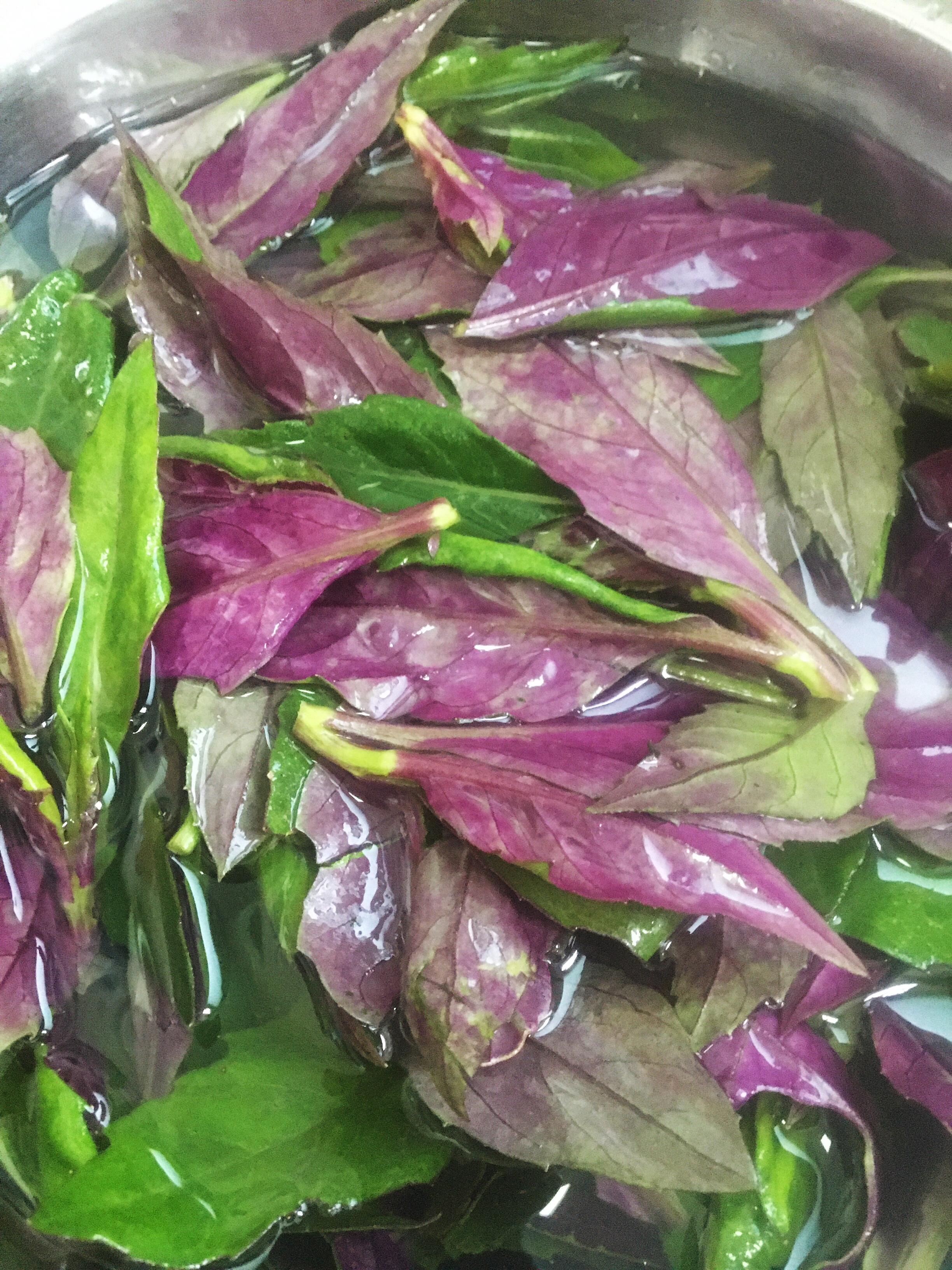 清炒紫背菜
