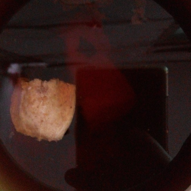罗汉果炖瘦肉