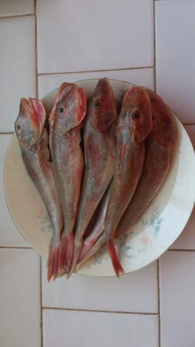 杂菜炖红头鱼的做法