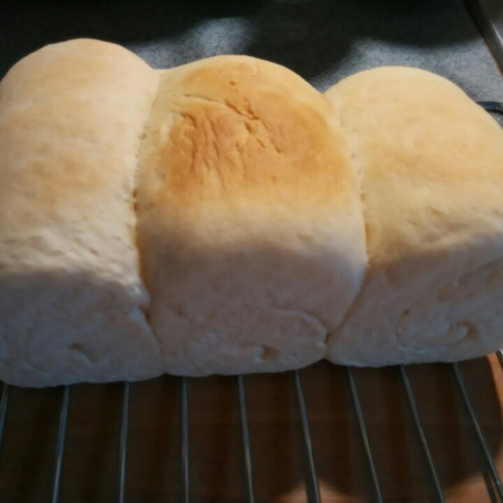 牛奶吐司（附详细步骤图）