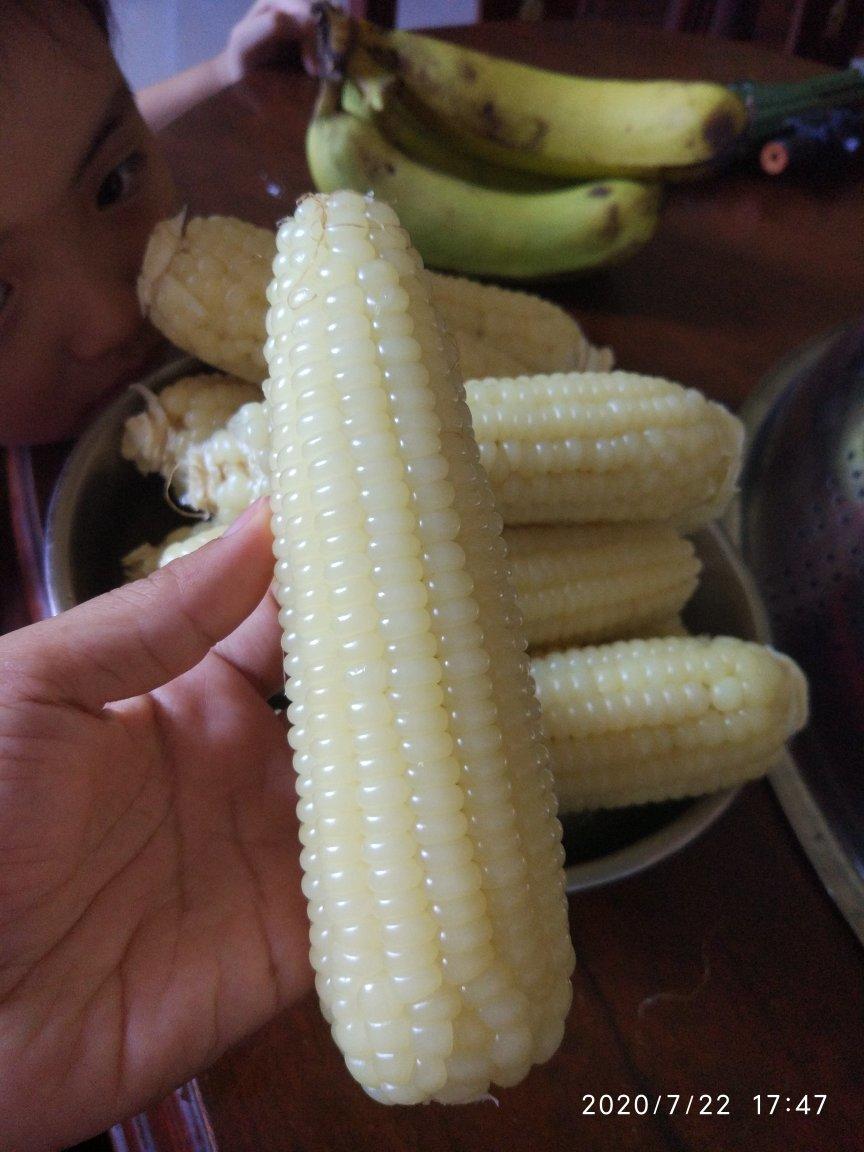 早午晚餐