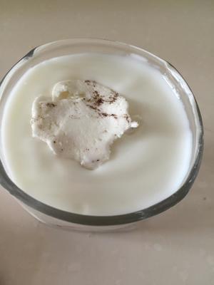 盆栽酸奶的做法 步骤9
