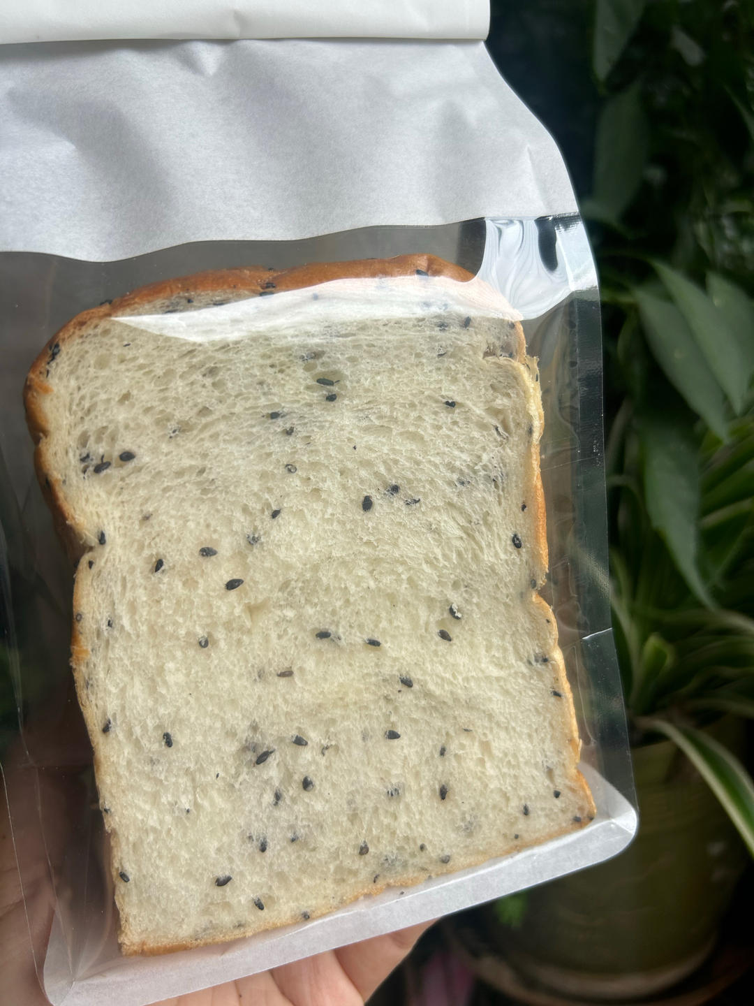 咸香黑芝麻吐司🍞（冷藏发酵）