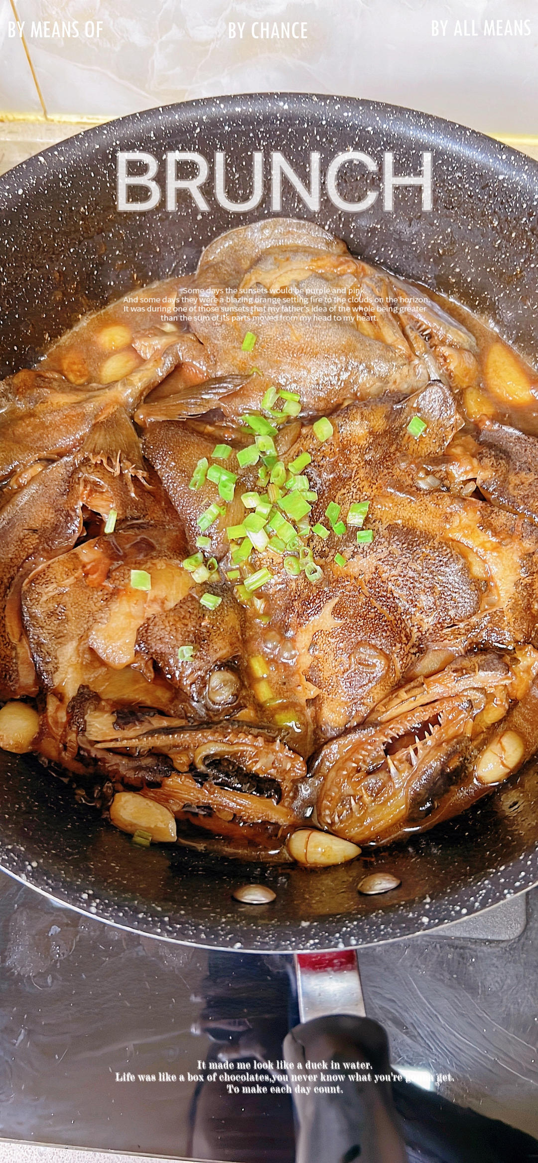 铁锅蝶鱼头
