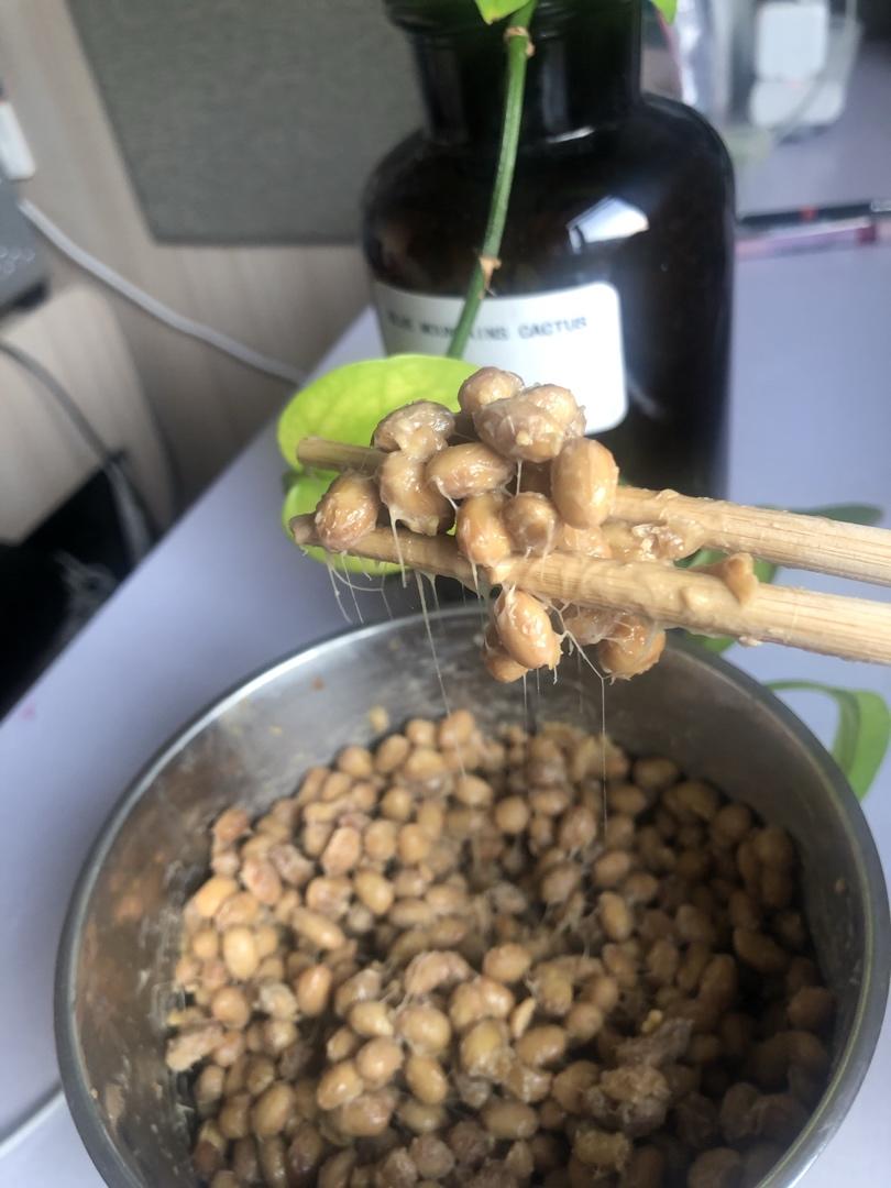 自制纳豆（酸奶机，面包机，烤箱版）