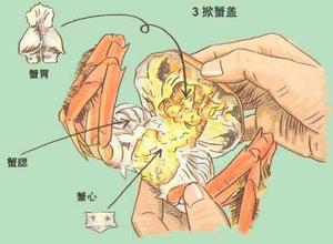 鳝骨河鲜汤的做法 步骤3