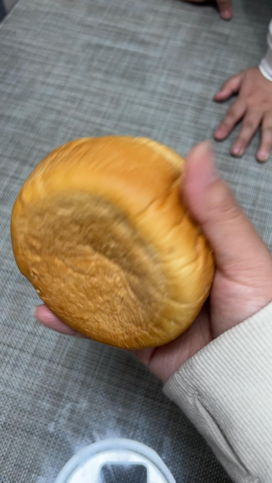 汉堡胚（波兰种）