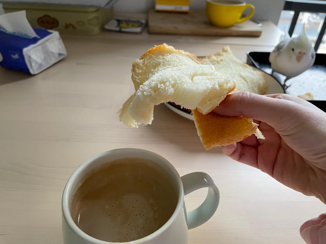 纯奶手撕吐司的做法 步骤1