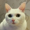 悠悠朵朵猴猴