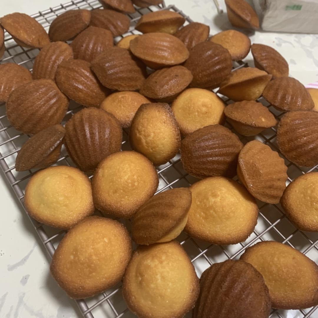 玛德琳（蓝带方）