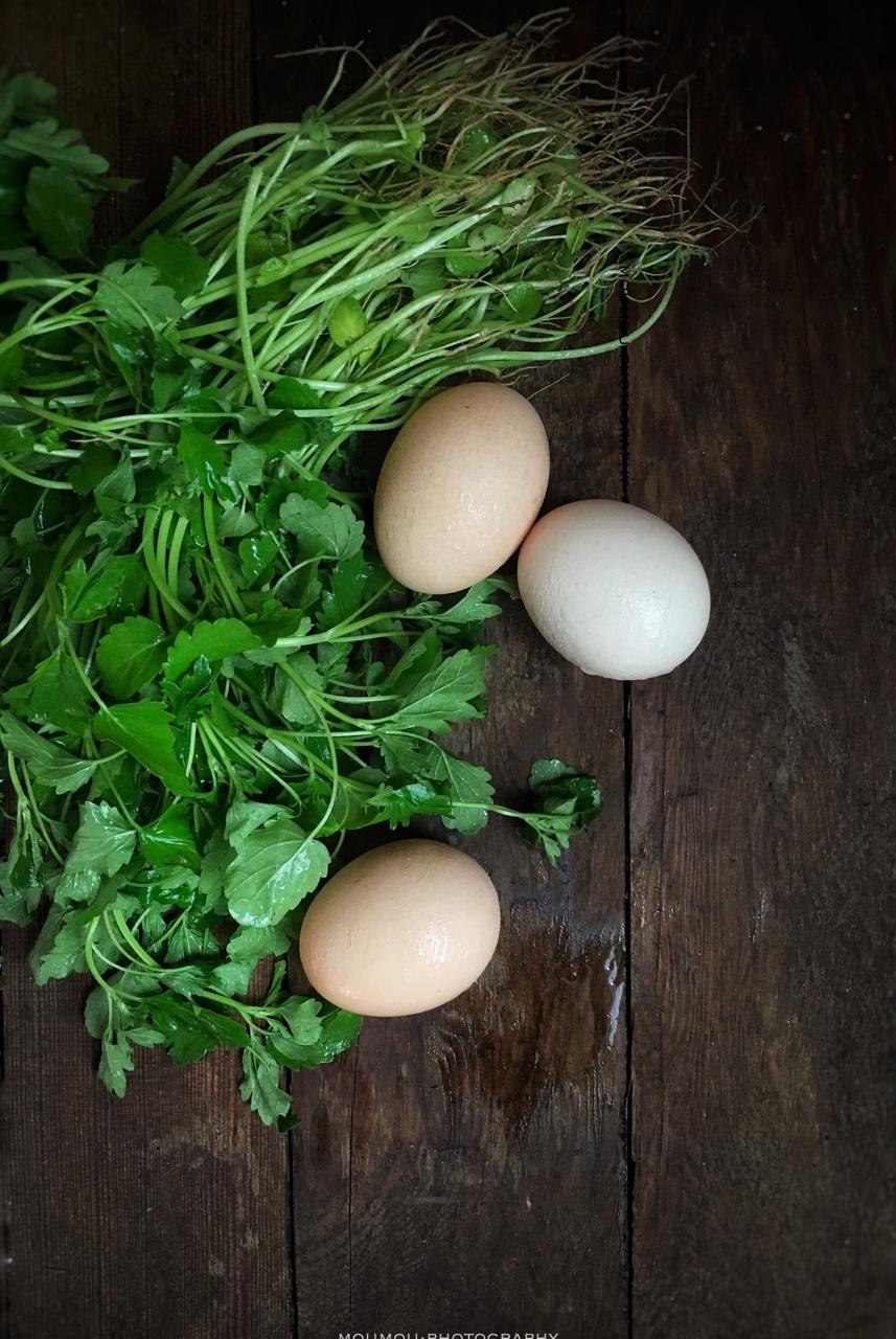 那些年，我们一起吃的蔬果香料君