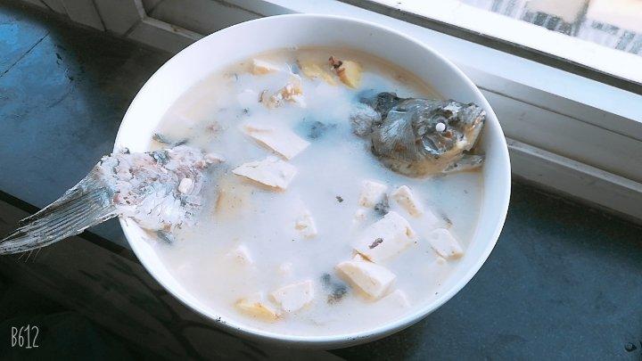 奶白鲫鱼豆腐汤|一条鱼最后的温柔