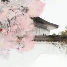 清浅_thlp
