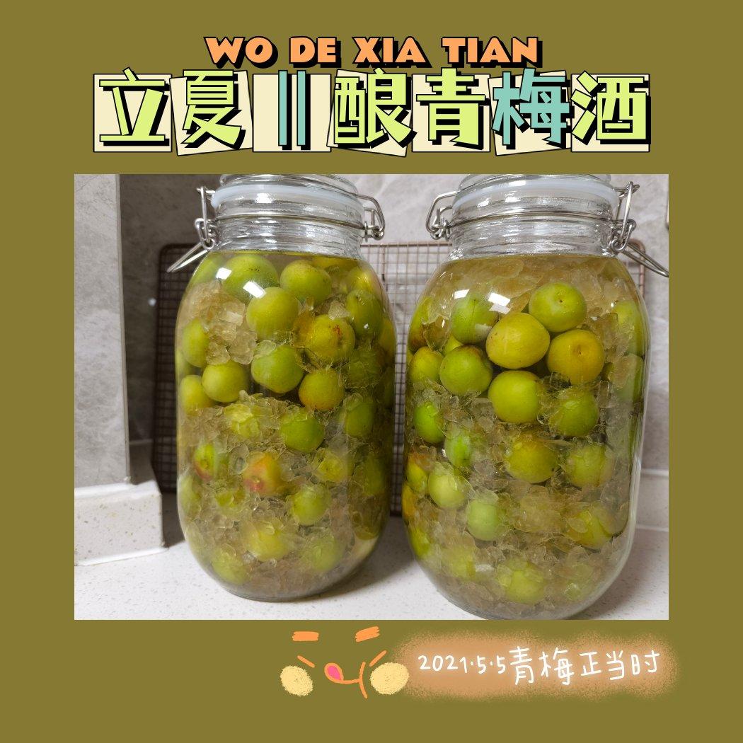 零失败【青梅酒 & 梅子露】梅子的沉淀岁月