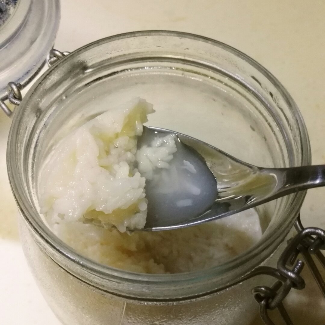 酒酿 (酒酿系列一）