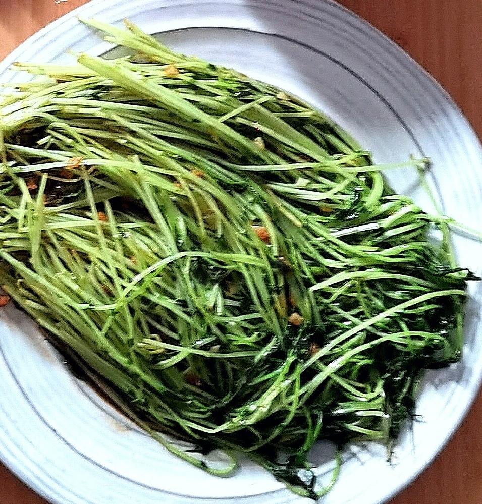 清新豌豆苗