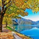 手机用户7170_c8an