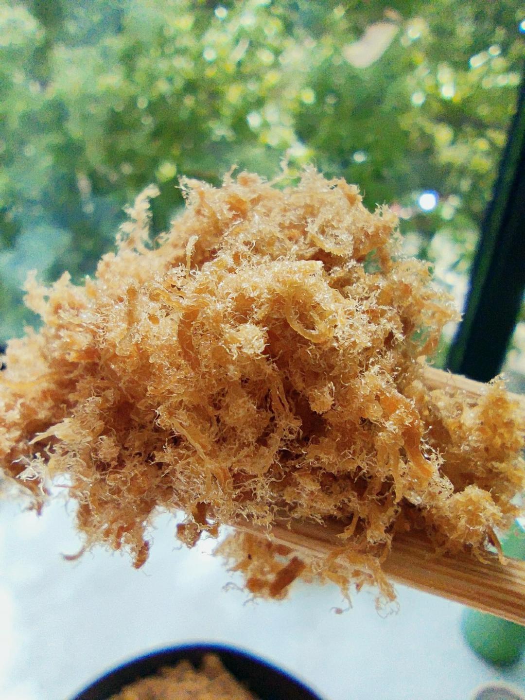 自制猪肉松(无需手撕)的做法