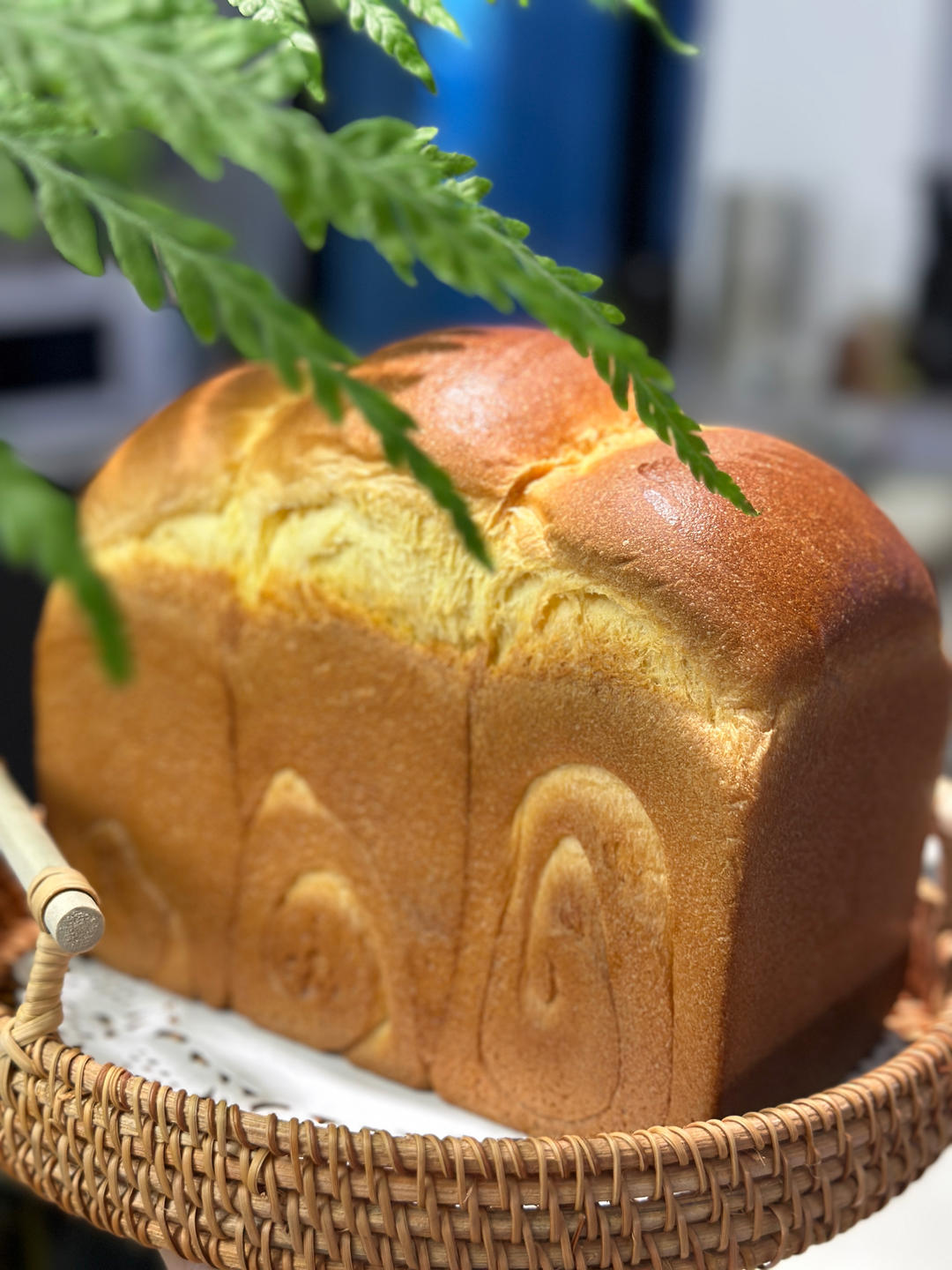 超软绵的皇后吐司（一次发酵）