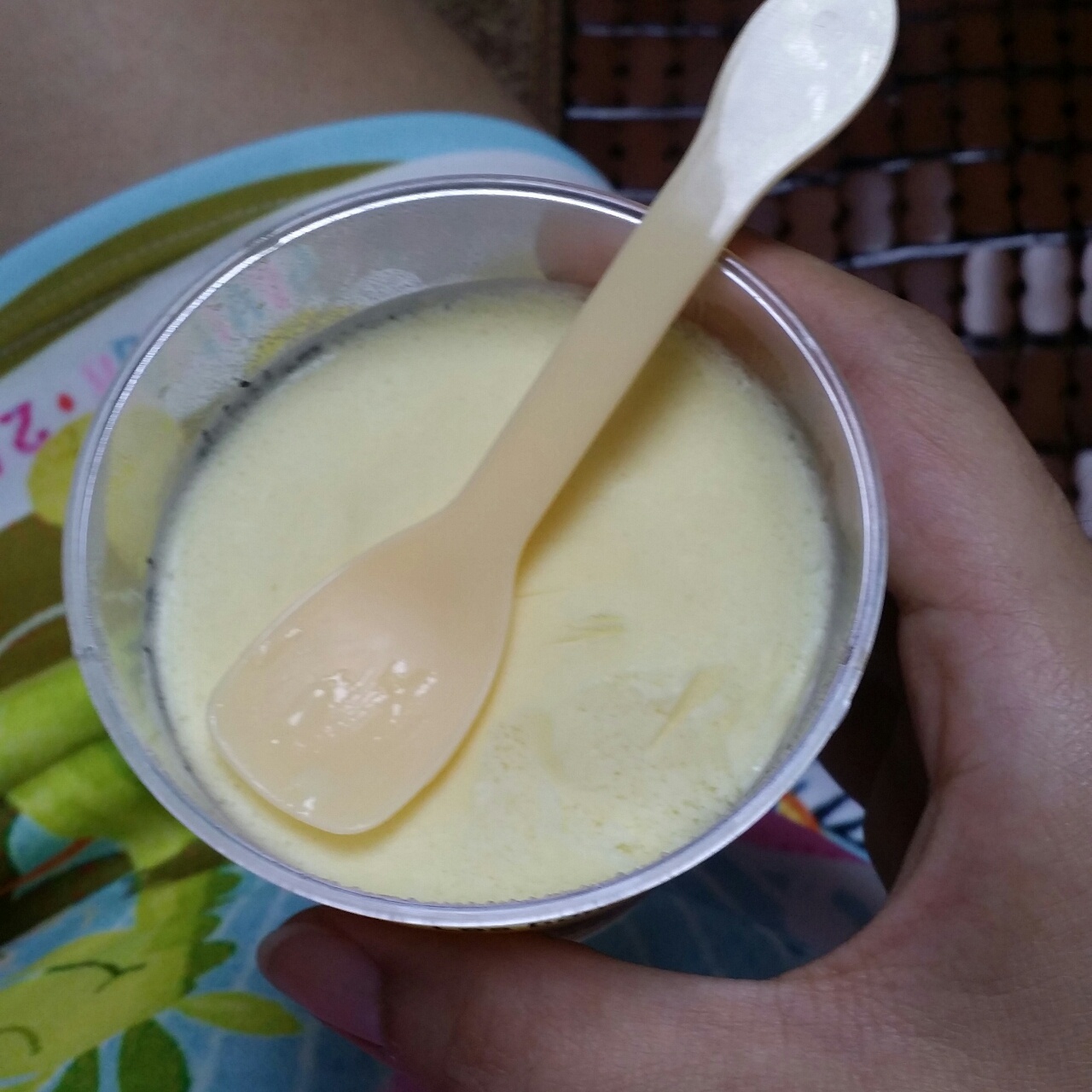 自制哈根达斯风味的冰淇淋