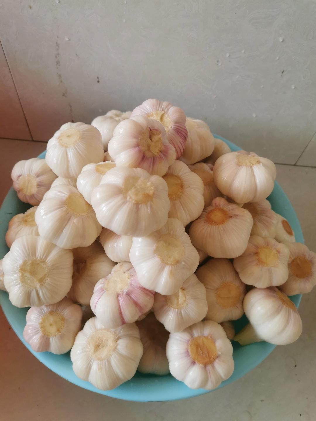 腌糖蒜（酸甜爽口）