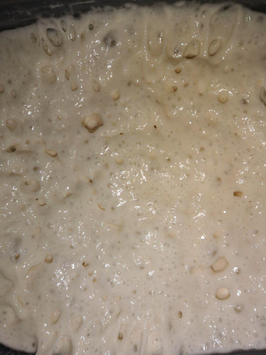 老面（馒头包子面包用，可冷冻保存）