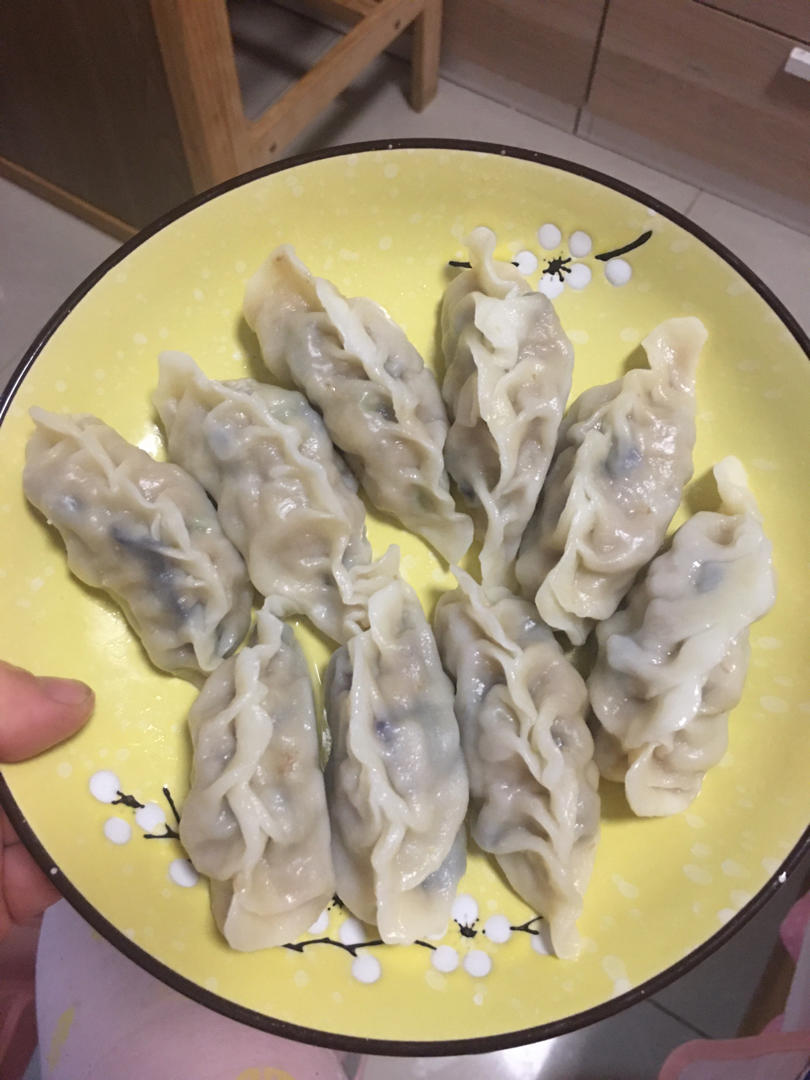 茄子猪肉馅水饺