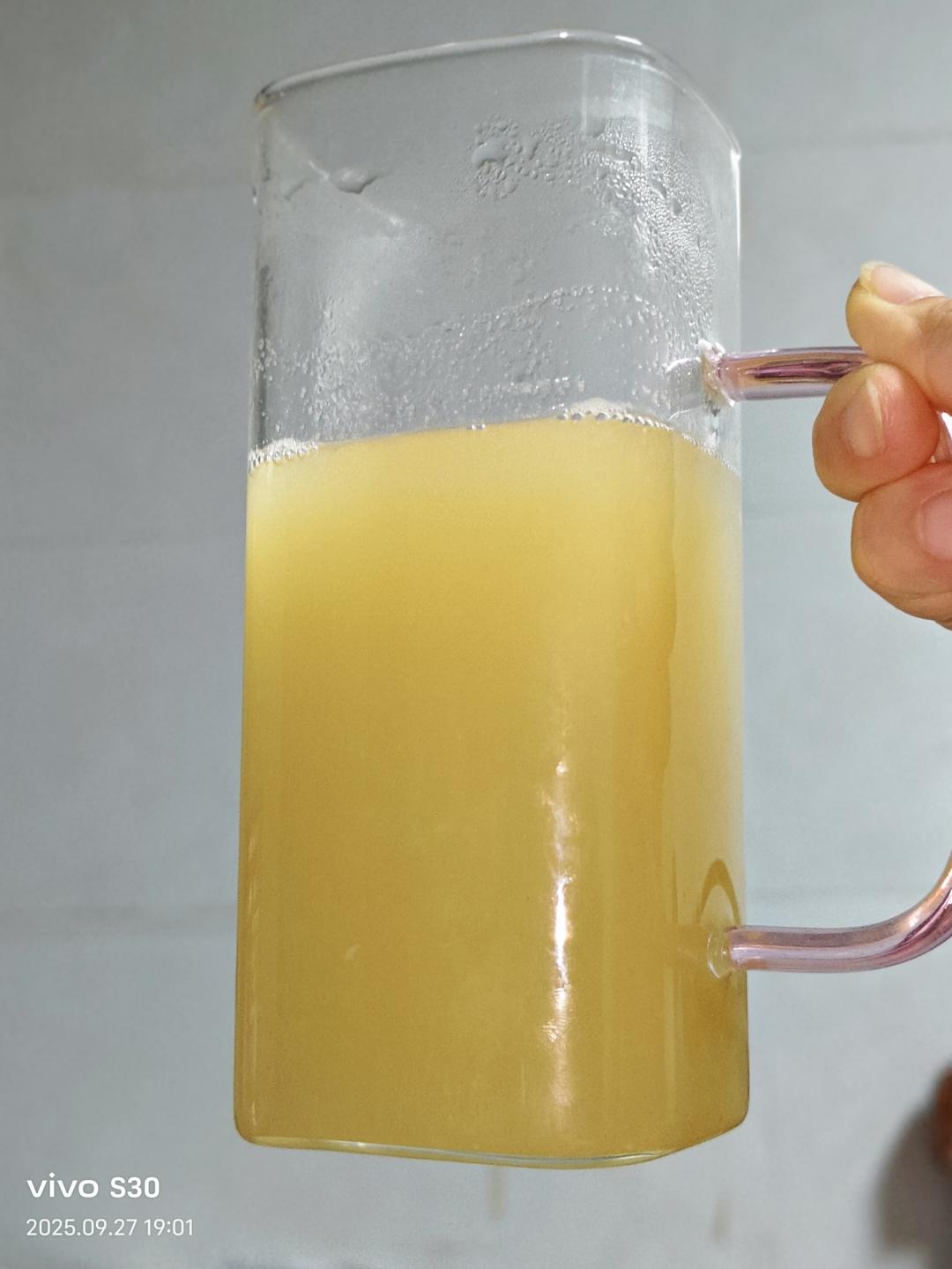 苹果汁（不氧化）