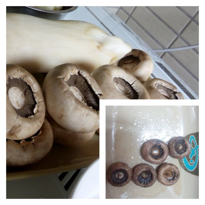 原汁原味的蘑菇