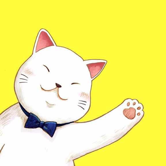小猫朵朵儿的小练手
