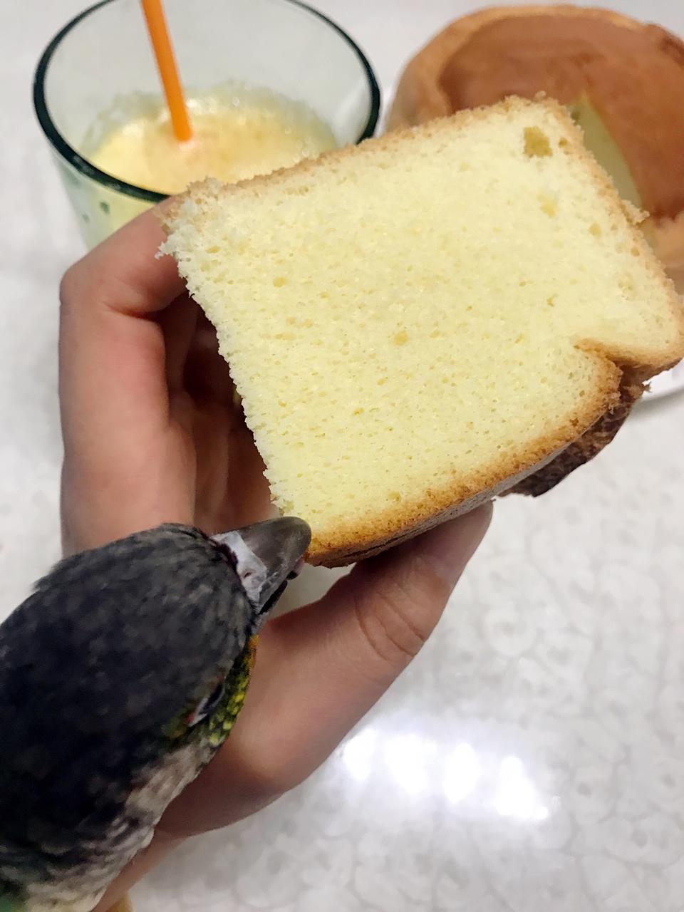 秒杀一切的最柔软细腻豆渣蛋糕