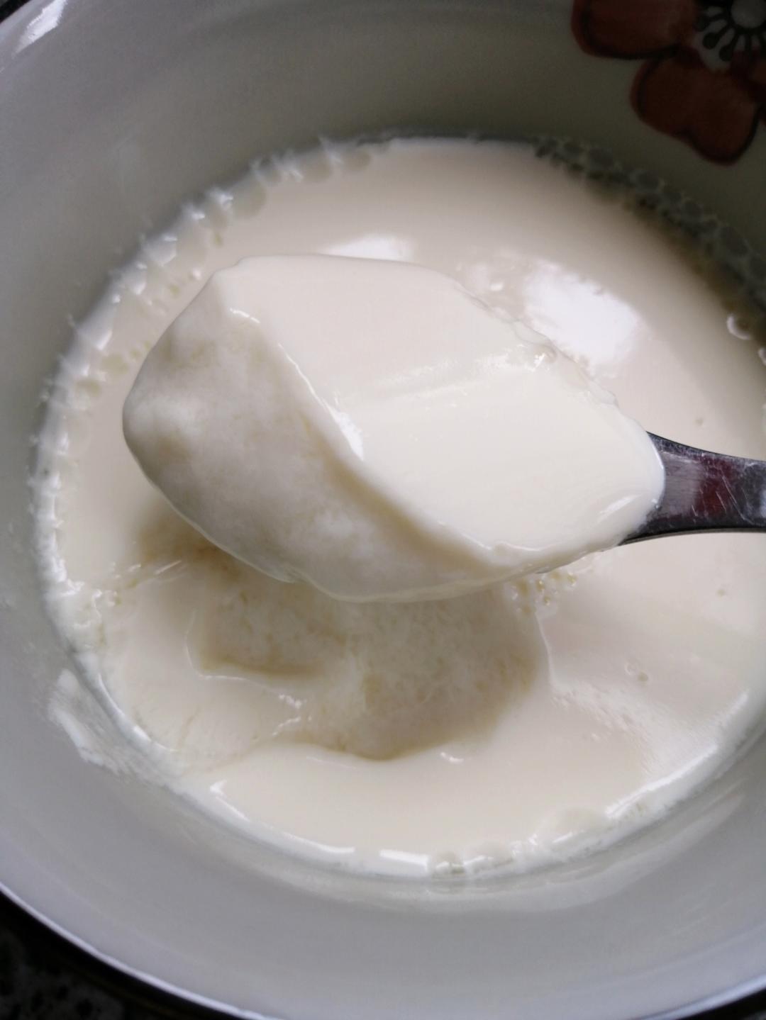 姜撞奶（传统制法，附失败解决方案）