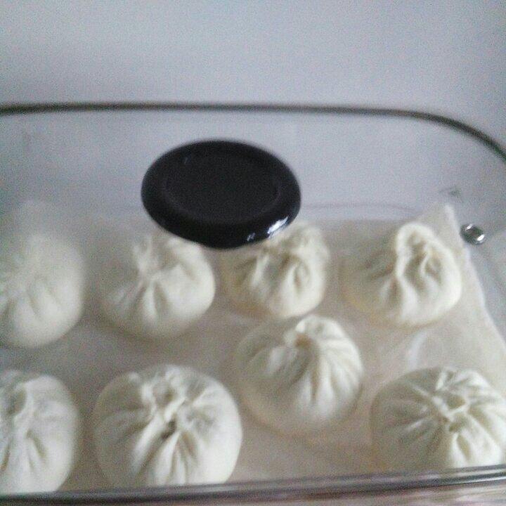 猪肉包子（附视频。一次性发酵。）