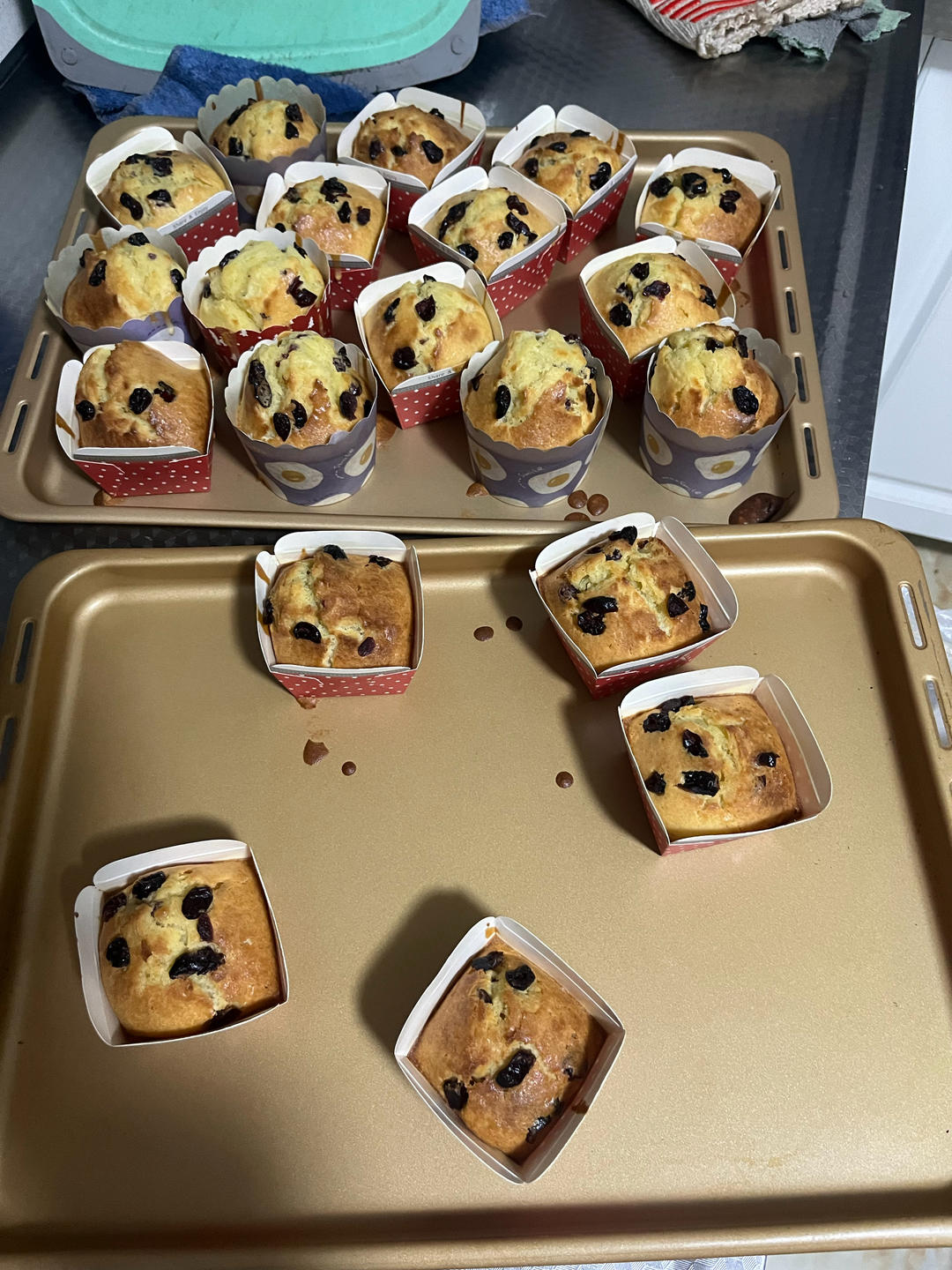 不用打发蛋清，搅一搅就能做的蔓越莓马芬蛋糕！