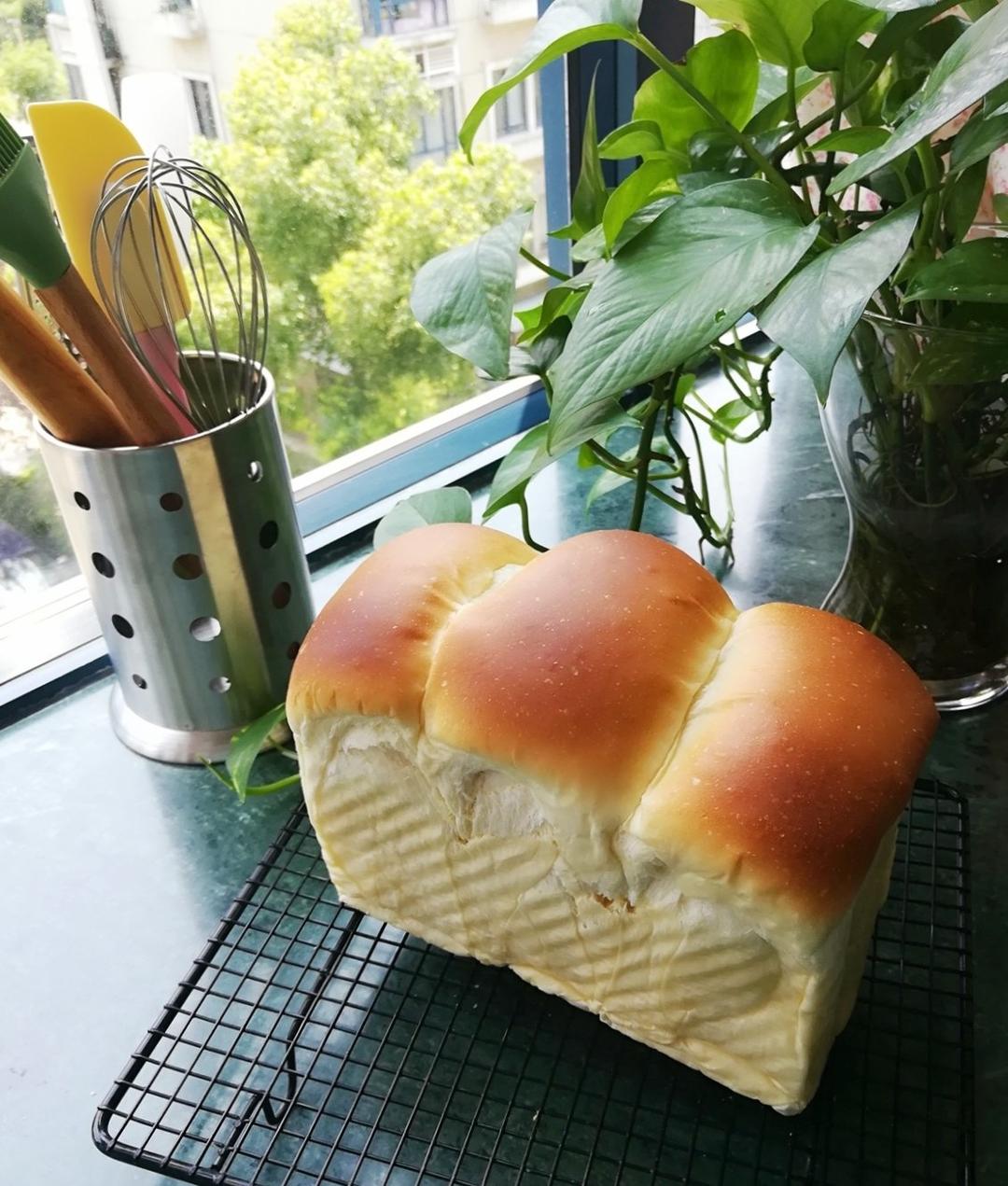 玉米油版一次性发酵吐司