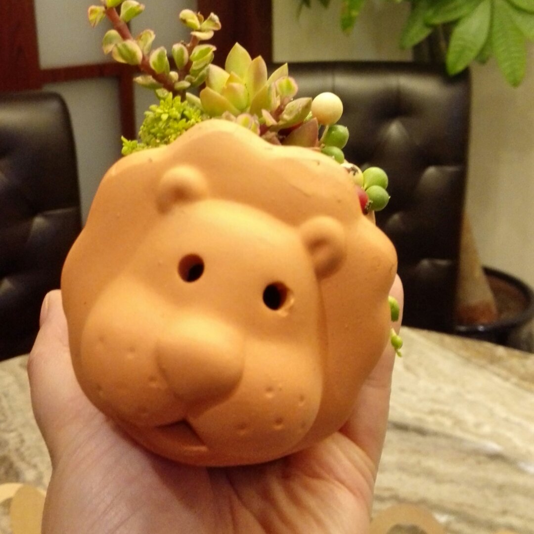 石榴MM是吃货