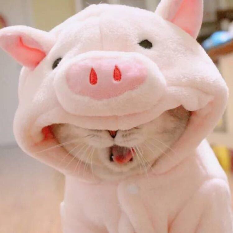 小惟大人