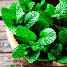 手机用户7025_1ixg