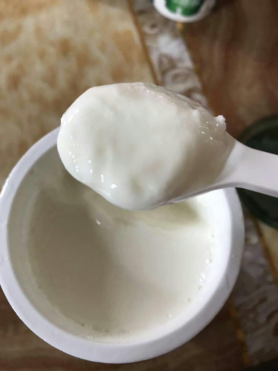 无需酸奶机的自制酸奶