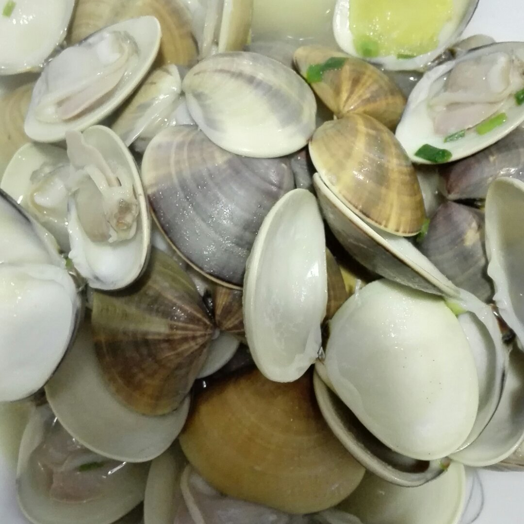 酒蒸青蛾的全部作品