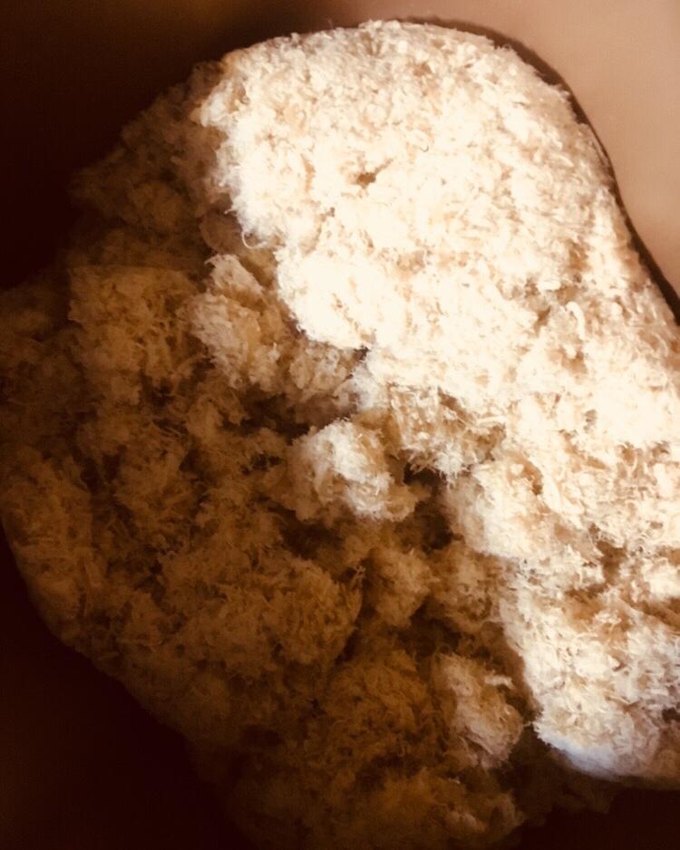 面包机肉松