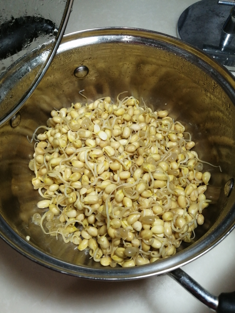 自己生黄豆芽的做法 步骤8
