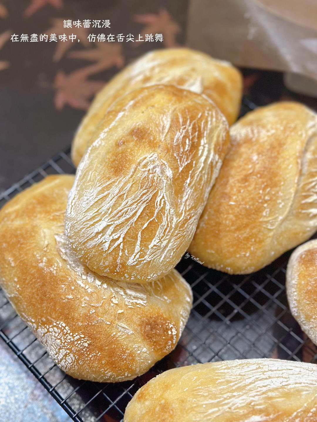 高水量恰巴塔【鲁邦种】