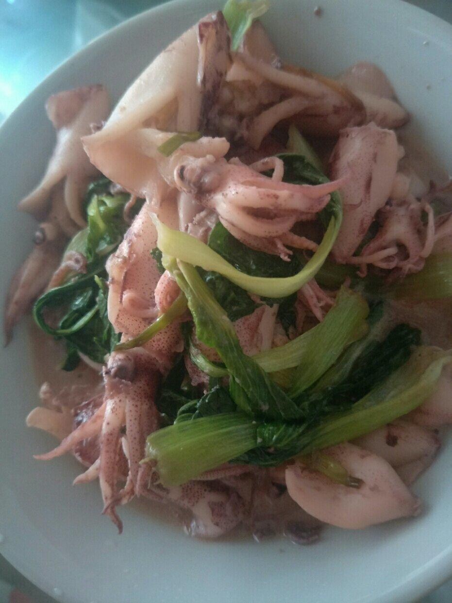 白菜炖海兔—鲜美无敌