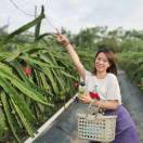 是泡芙小姐哦
