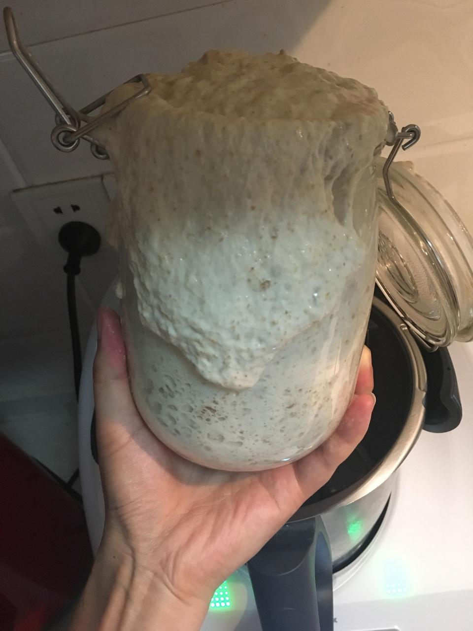 天然酵母宝宝养成记