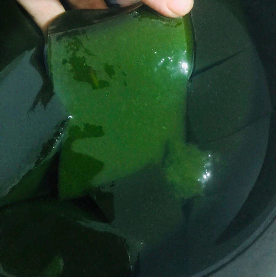 神仙豆腐制作过程（最科学的做法）