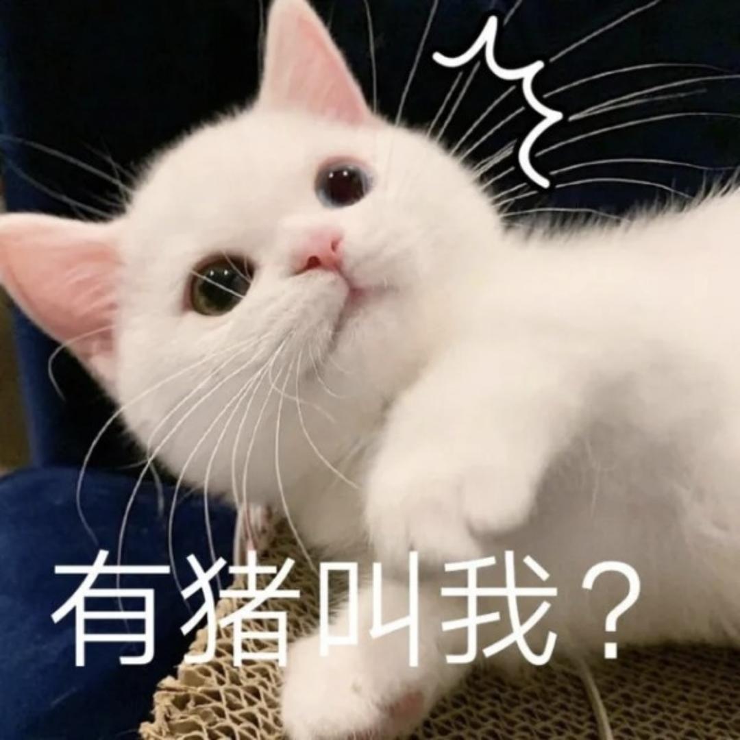 xcf酒香草头