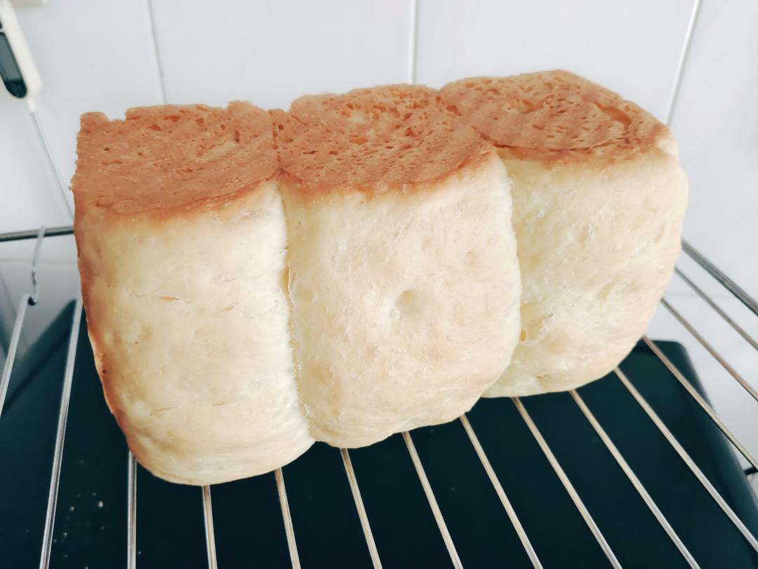 夺命软吐司(๑´ڡ`๑)超软拉丝极速方便的一次发酵吐司