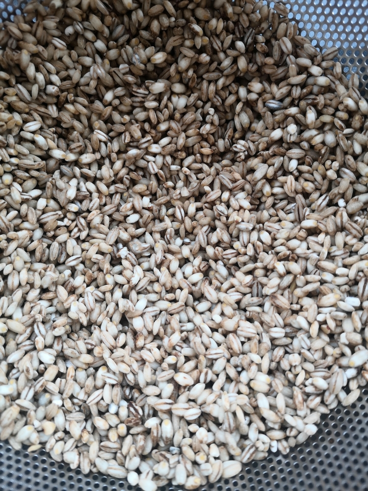 大麦米变大麦面的做法